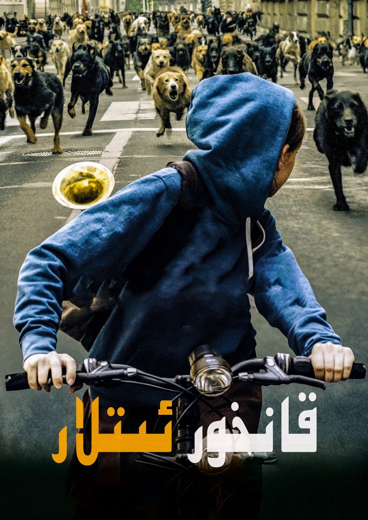 قانخور ئىتلار