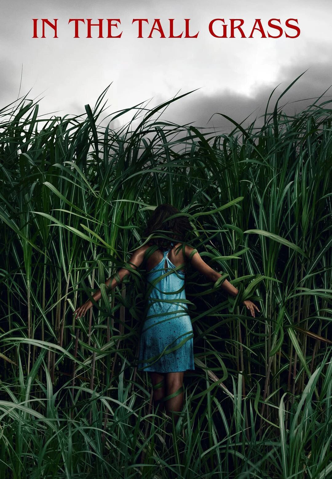 ھالاكەت چۆپلىكى