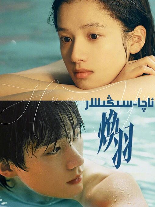 ئاچا سىڭىللار  ھەقسىز 