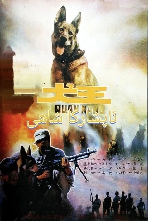 ئاپشاركا شاھى