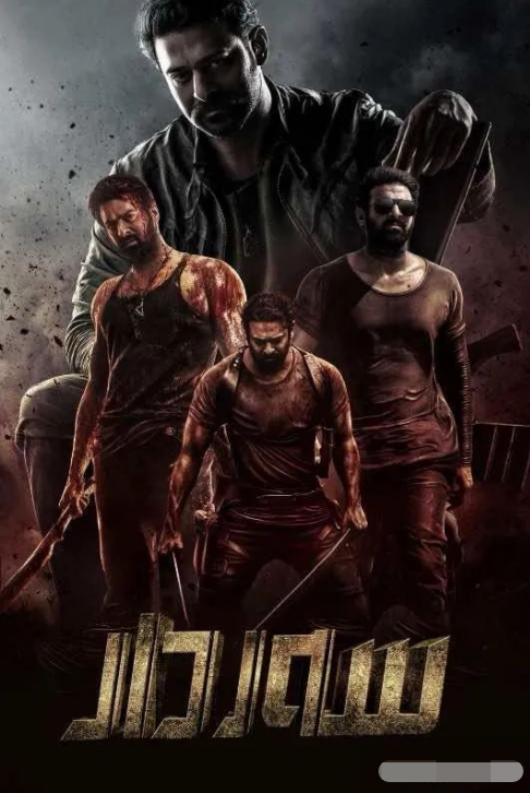 سەردار (سۈزۈك)