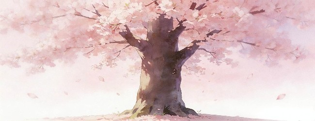 一生一树宣传图