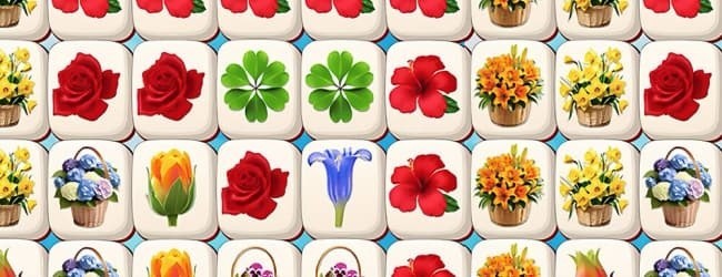 花朵消消乐花花宣传图