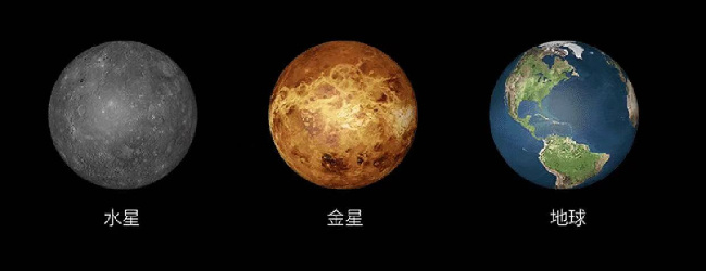 快乐小鸡小游戏大全宣传图