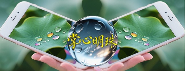 掌心明珠宣传图