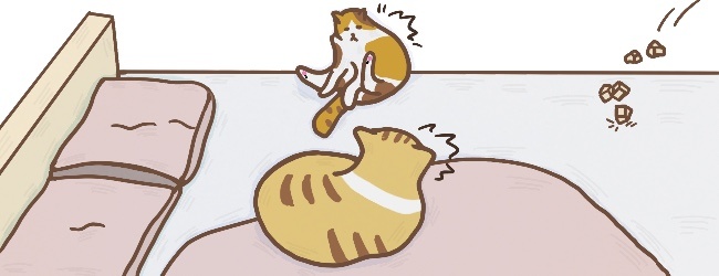 冲呀小猪咪宣传图