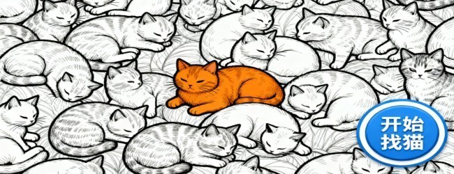 全民疯狂找猫猫宣传图