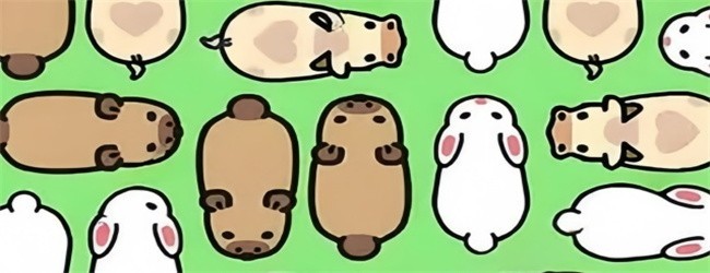 营救小卡皮宣传图