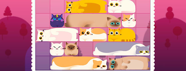 土耳其猫咪消除宣传图