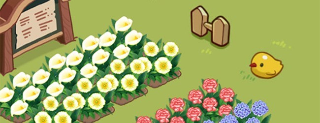 种了朵鲜花宣传图