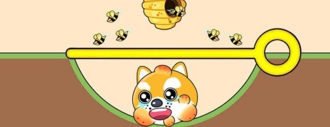 救了个狗正版宣传图