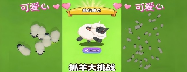 抓了只羊宣传图