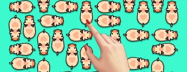 小猪猪消消乐宣传图