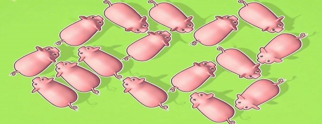 全民挪猪宣传图
