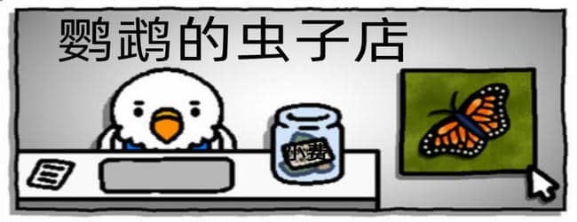 捉虫子宣传图