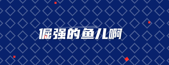 倔强的鱼儿啊宣传图