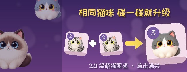 喵合连萌宣传图