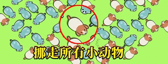 动物营救计划宣传图