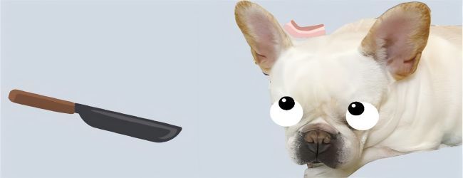 沙雕培根游戏宣传图