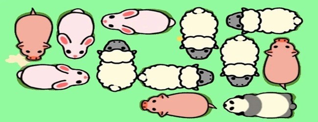全民养猪场小游戏宣传图